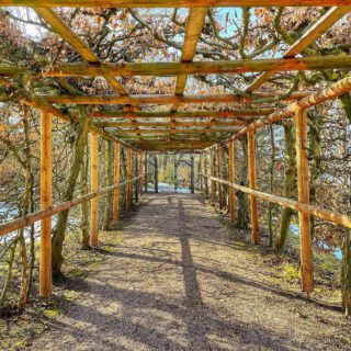#weimar #weimarmeinestadt #thüringen #thuringia #germany #deutschland #schlossbelvedere #schlossparkbelvedere #weimarbelvedere #holz #wood #dreamydestinations #belvedere #tunnel #ausflugstipp #pictureoftheday #picoftheday #fotodestages #tunnelblick #gewächs